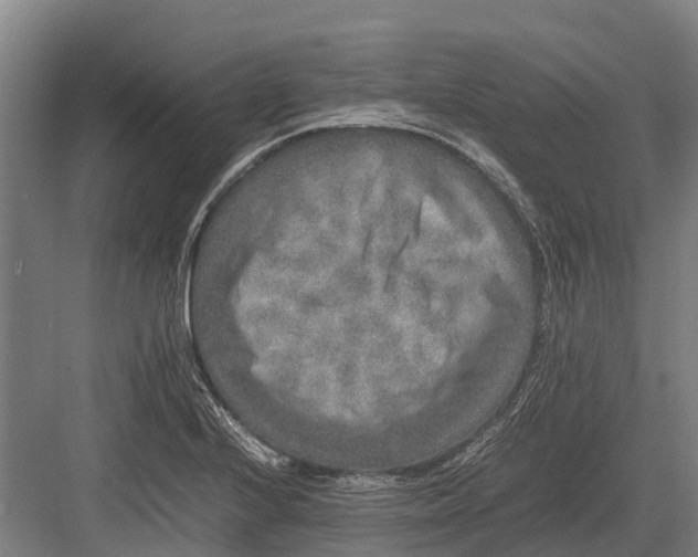 X0000082721224200702161833