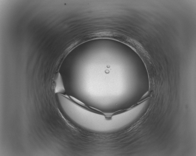 X0000082721225200702161833