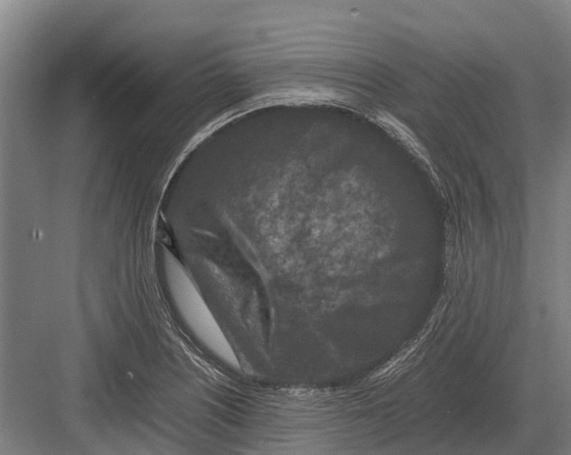 X0000082721226200702161833