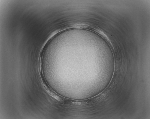 X0000082721227200702161833