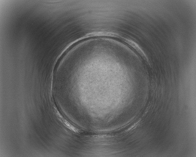 X0000082721228200702161833