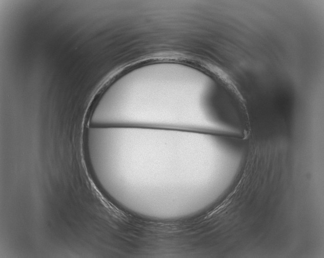 X0000082721229200702161833