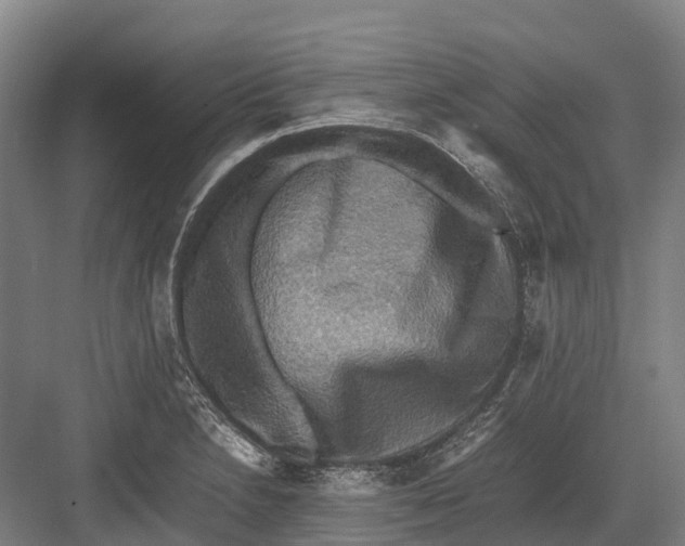 X0000082721230200702161833