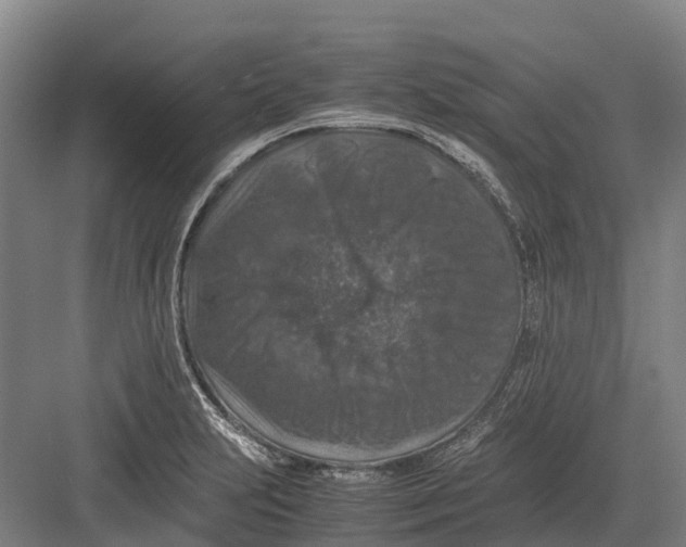 X0000082721231200702161833