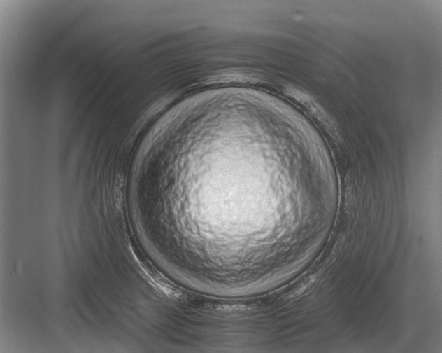 X0000082721233200702161833