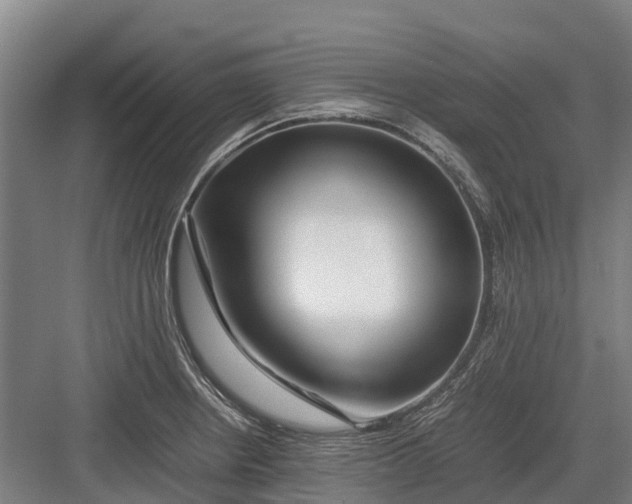 X0000082721234200702161833