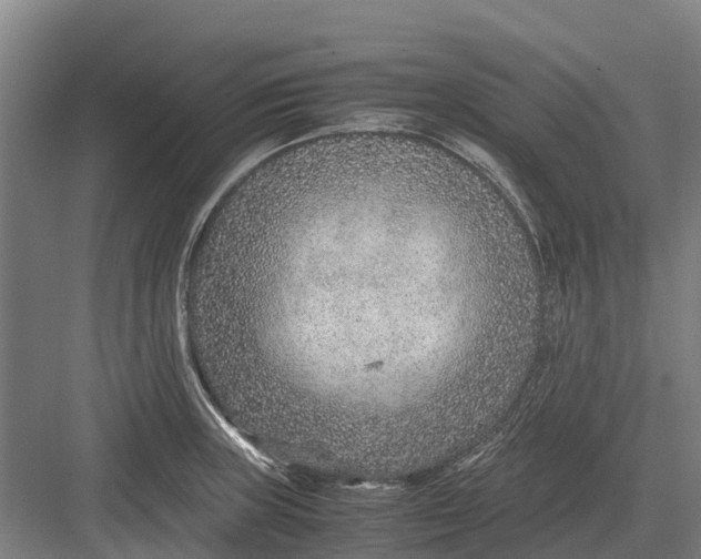 X0000082721235200702161833