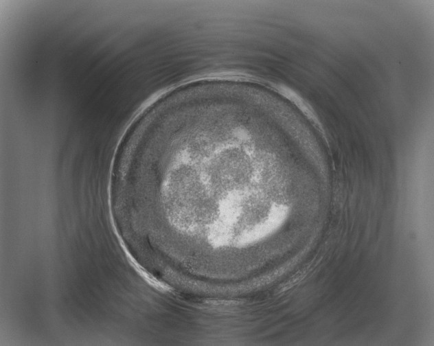 X0000082721237200702161833