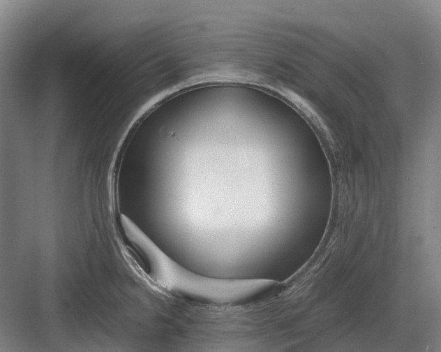 X0000082721238200702161833