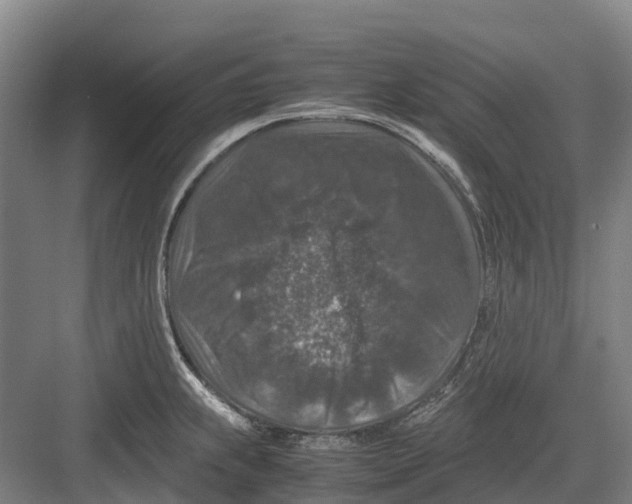 X0000082721239200702161833