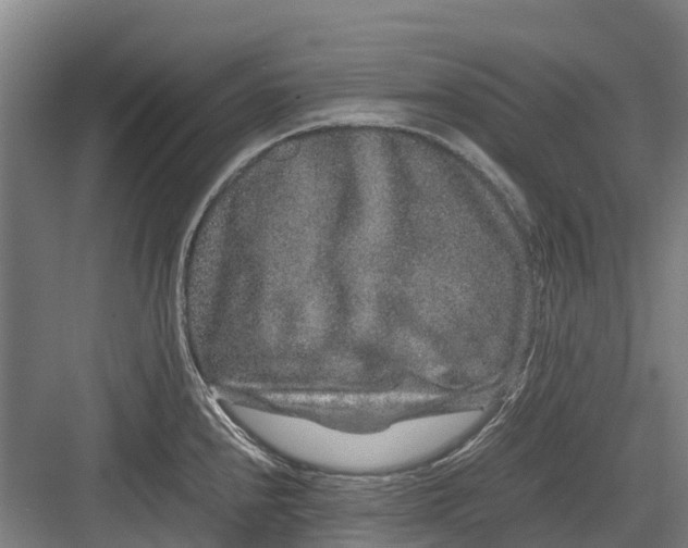 X0000082721240200702161833