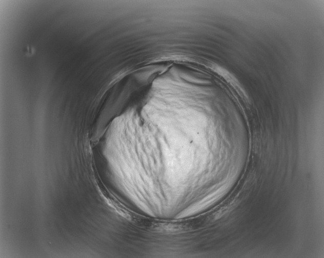 X0000082721241200702161833