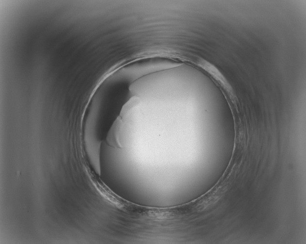 X0000082721242200702161833