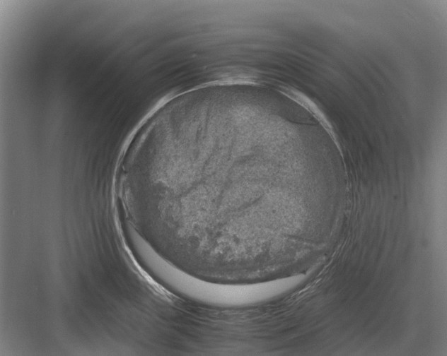 X0000082721243200702161833