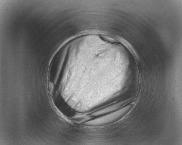 X0000082721244200702161833