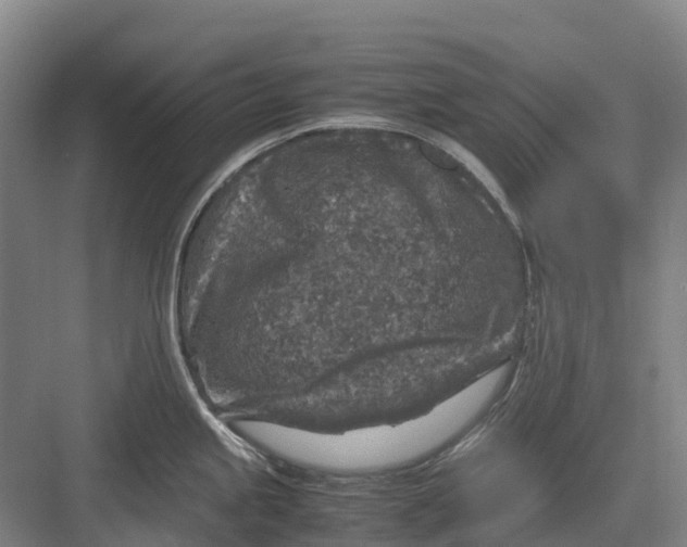 X0000082721245200702161833