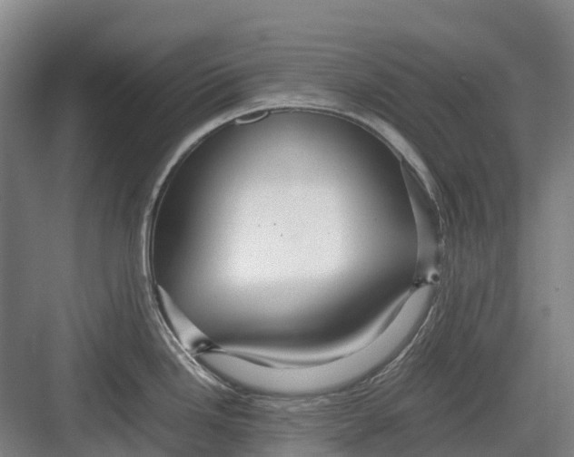 X0000082721246200702161833