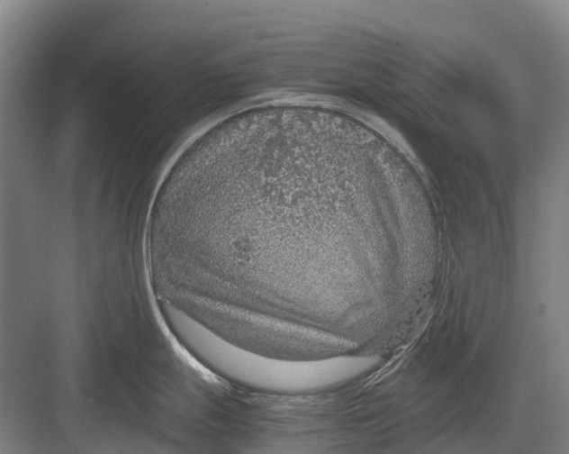 X0000082721247200702161833