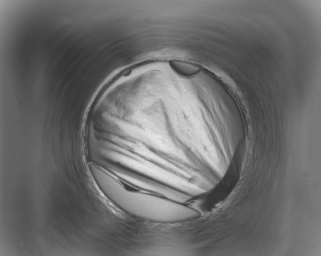 X0000082721248200702161833