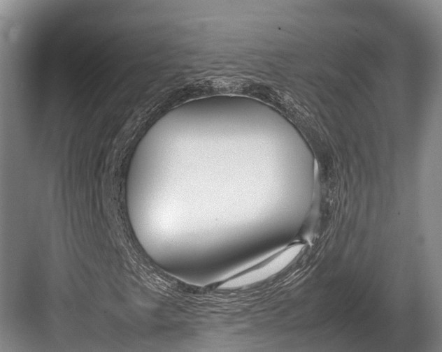 X0000082721249200702161832