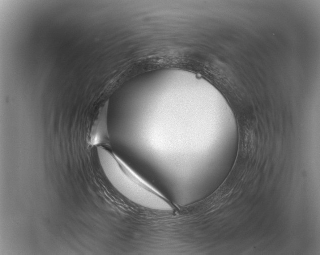 X0000082721250200702161832