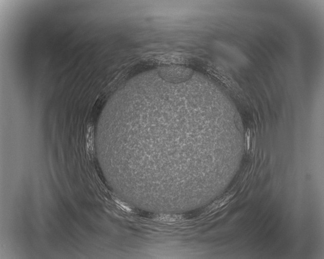 X0000082721251200702161832