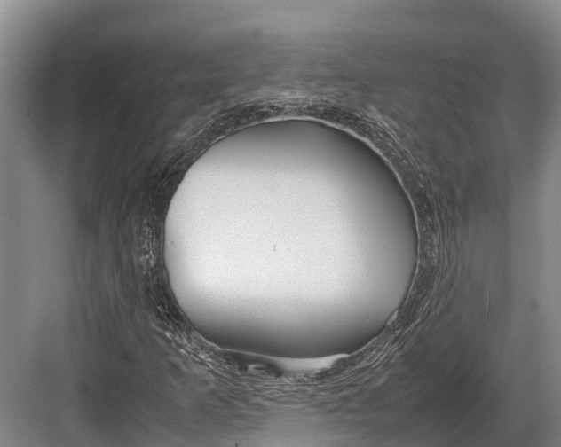 X0000082721253200702161832