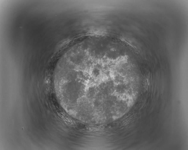 X0000082721254200702161832