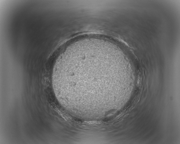 X0000082721255200702161832