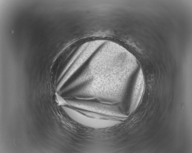 X0000082721256200702161832