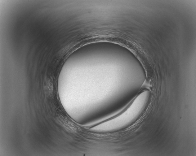 X0000082721257200702161832