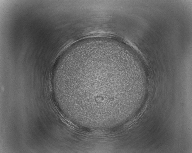 X0000082721259200702161832