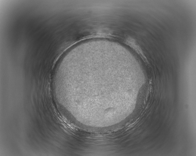 X0000082721260200702161832