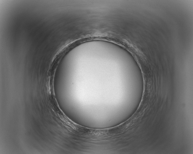 X0000082721262200702161832