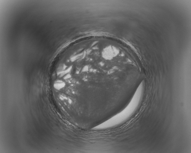 X0000082721263200702161832