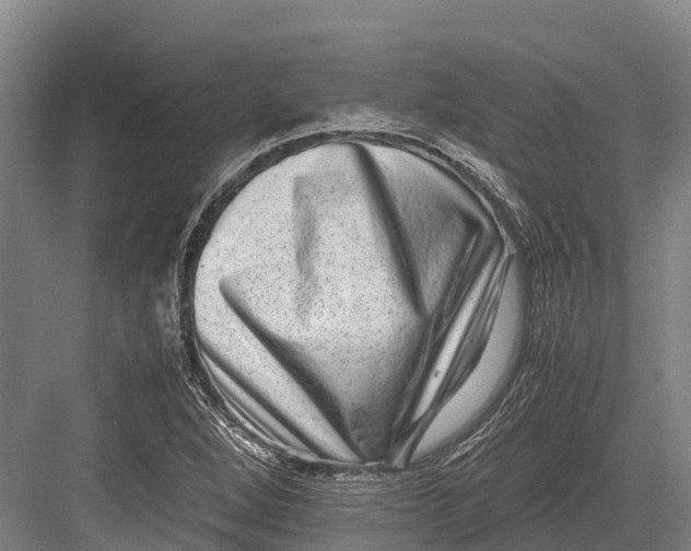 X0000082721264200702161832