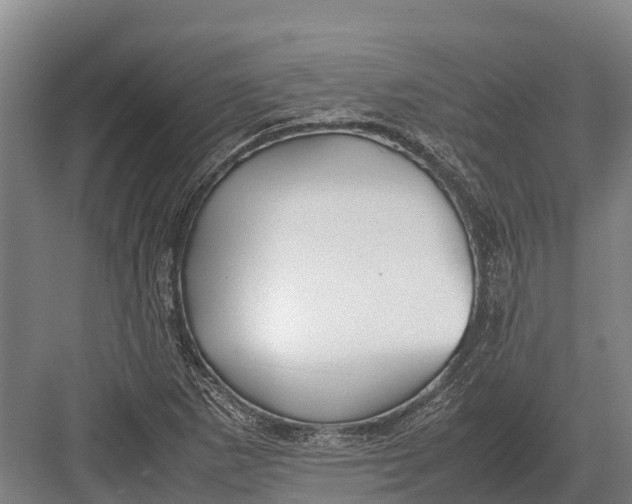 X0000082721265200702161832