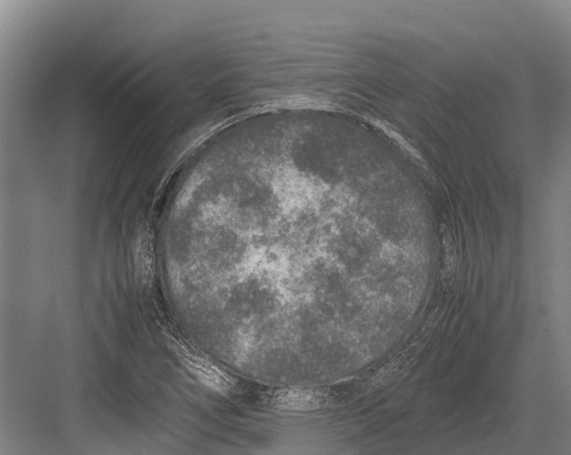 X0000082721266200702161832