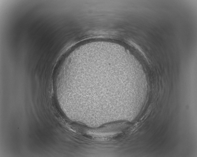 X0000082721267200702161832