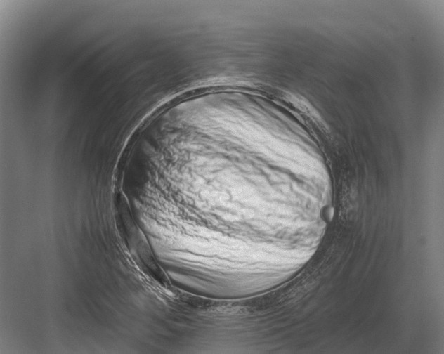 X0000082721268200702161832