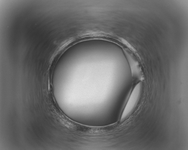 X0000082721269200702161832