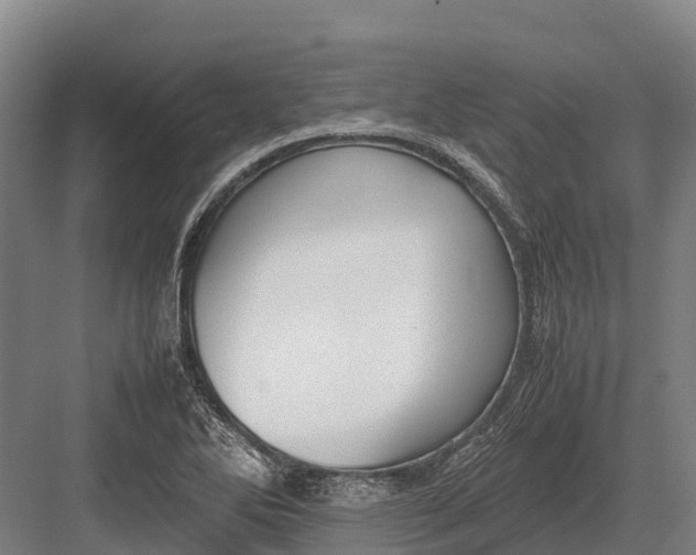 X0000082721270200702161832