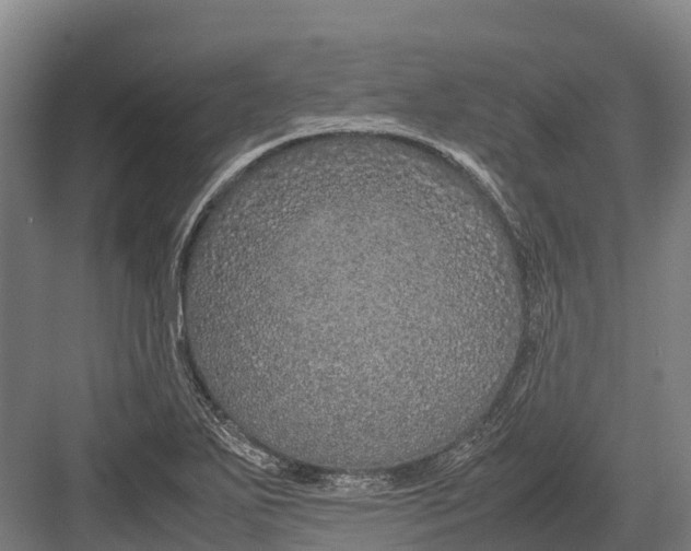 X0000082721271200702161832