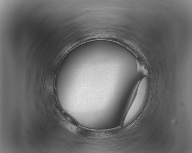 X0000082721273200702161832