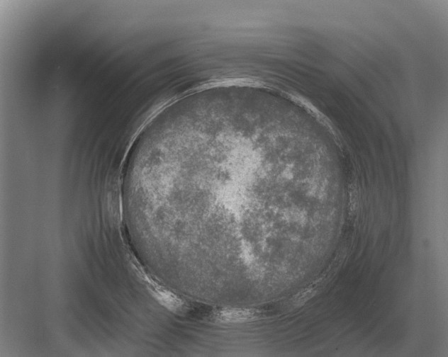 X0000082721274200702161832