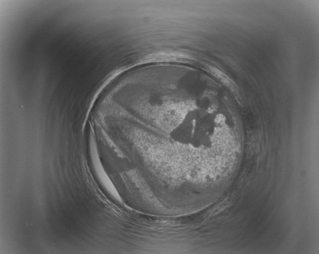 X0000082721275200702161832