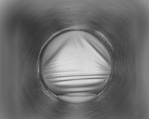 X0000082721276200702161832