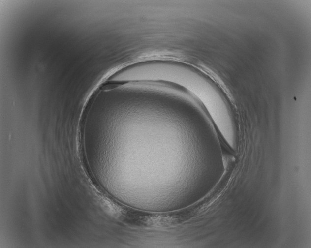 X0000082721277200702161832