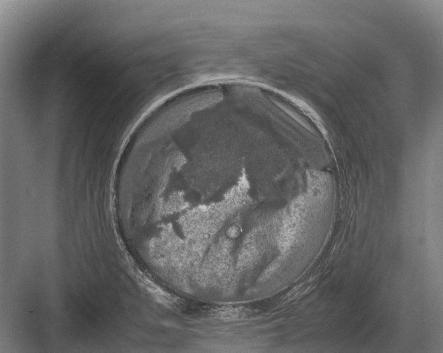 X0000082721279200702161832