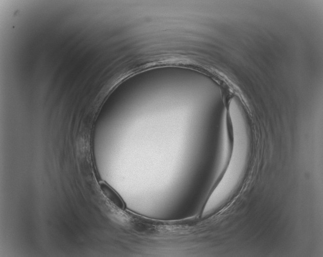 X0000082721281200702161832